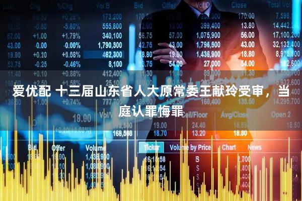 爱优配 十三届山东省人大原常委王献玲受审，当庭认罪悔罪