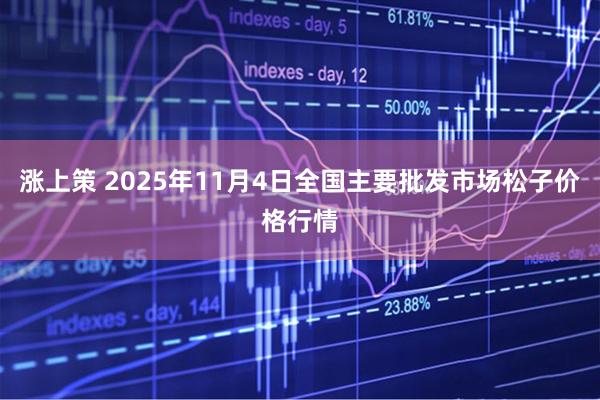 涨上策 2025年11月4日全国主要批发市场松子价格行情