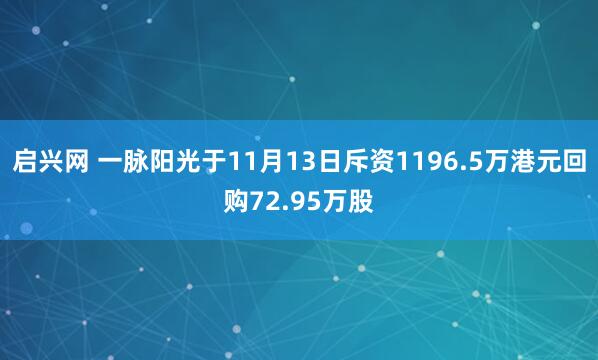 启兴网 一脉阳光于11月13日斥资1196.5万港元回购72.95万股