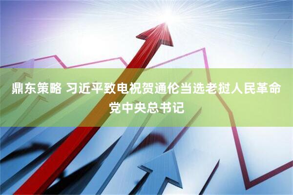 鼎东策略 习近平致电祝贺通伦当选老挝人民革命党中央总书记